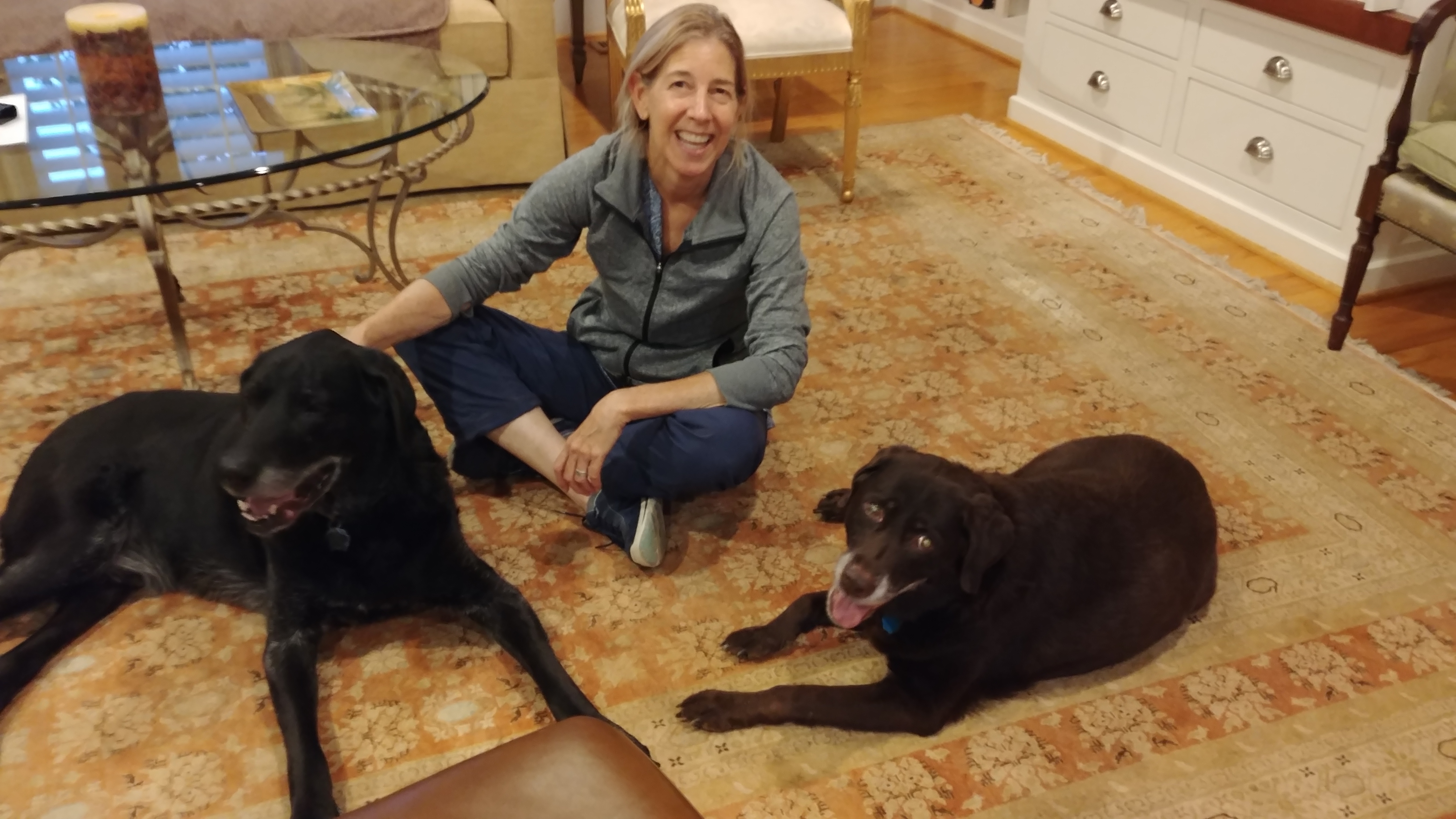 Joan with senior rescue labs Max and Cassie
